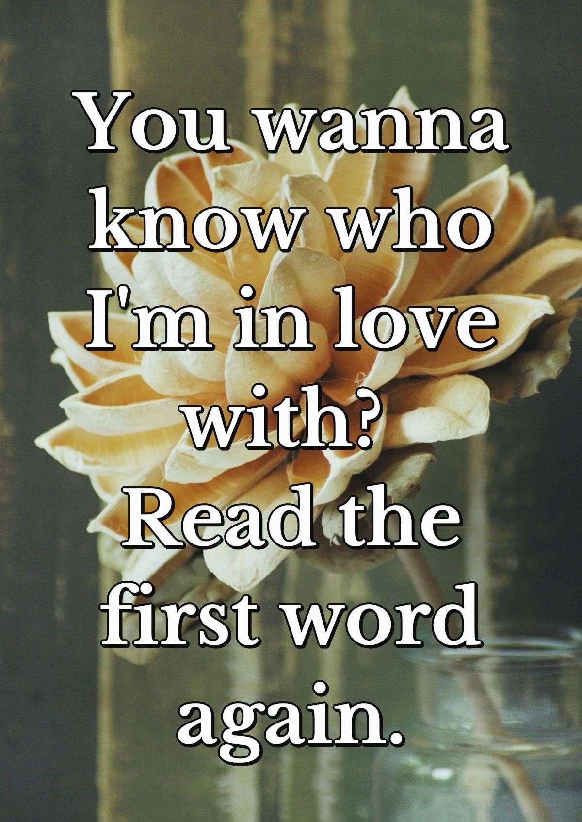 You wanna know who I'm in love with? Read the first word again.