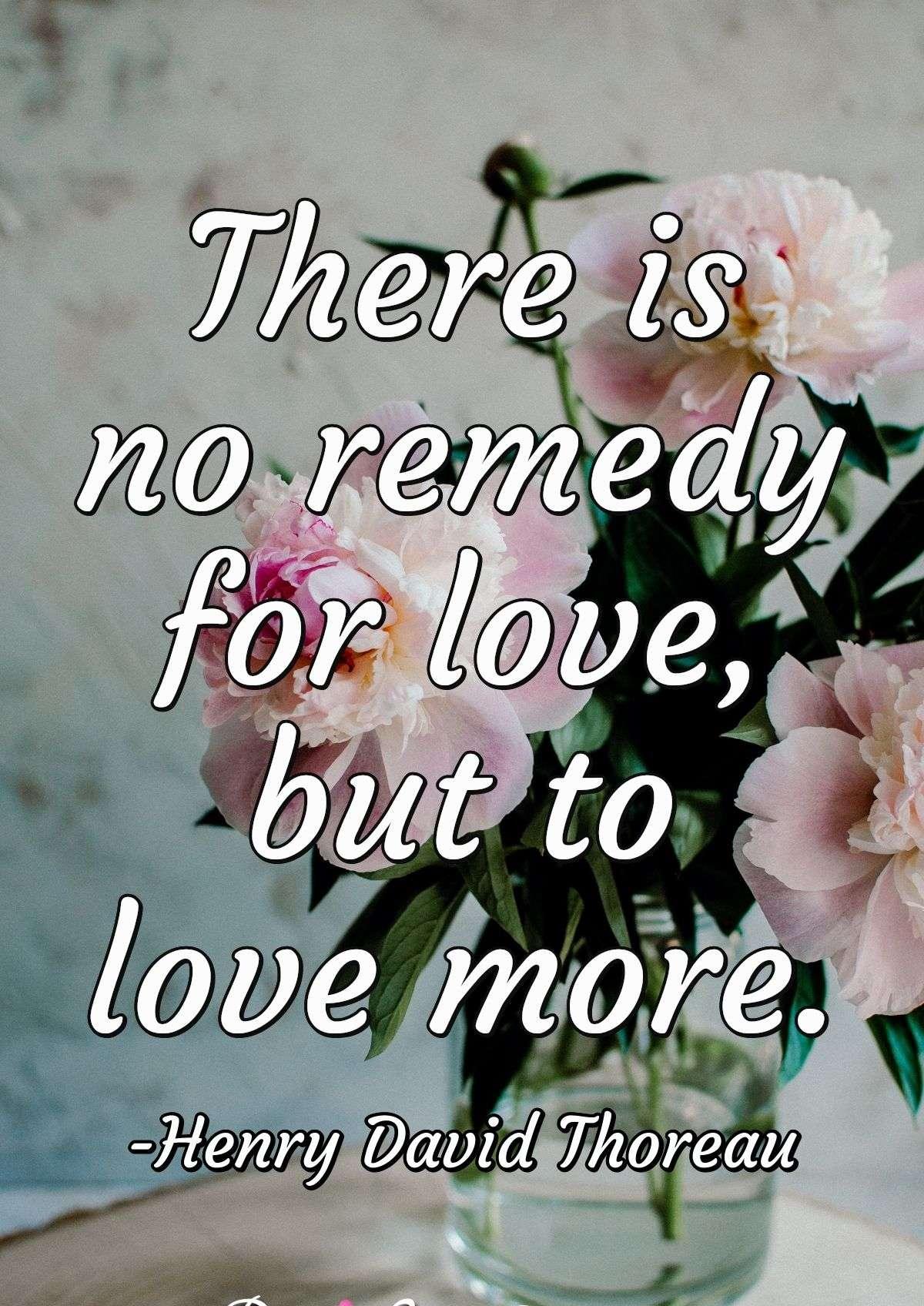 There is no remedy for love, but to love more.