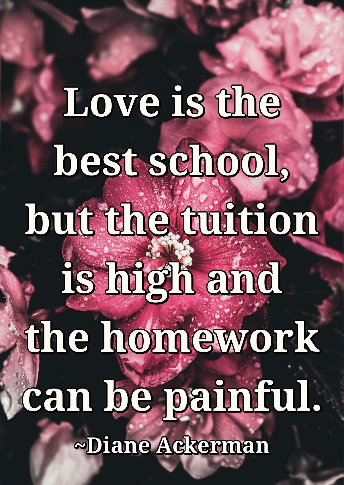 Love is the best school, but the tuition is high and the homework can be painful.