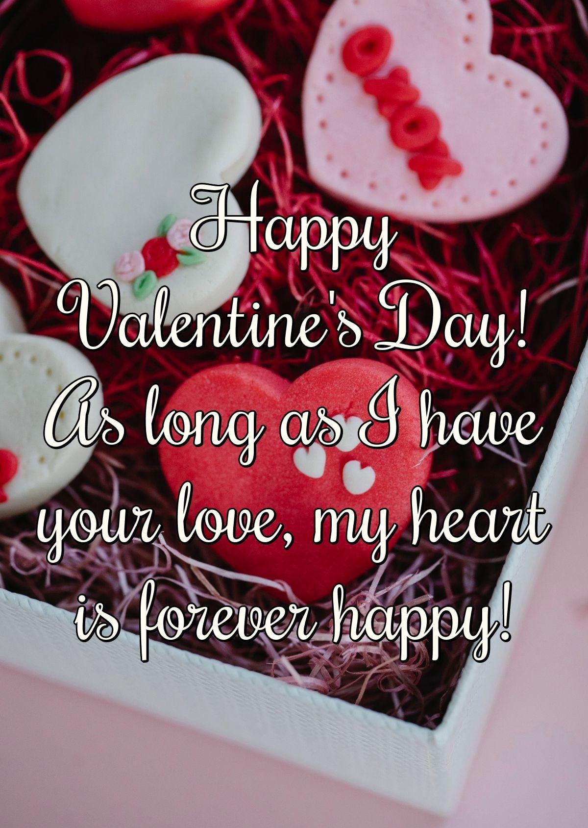 Happy Valentine's Day! As long as I have your love, my heart is forever happy!