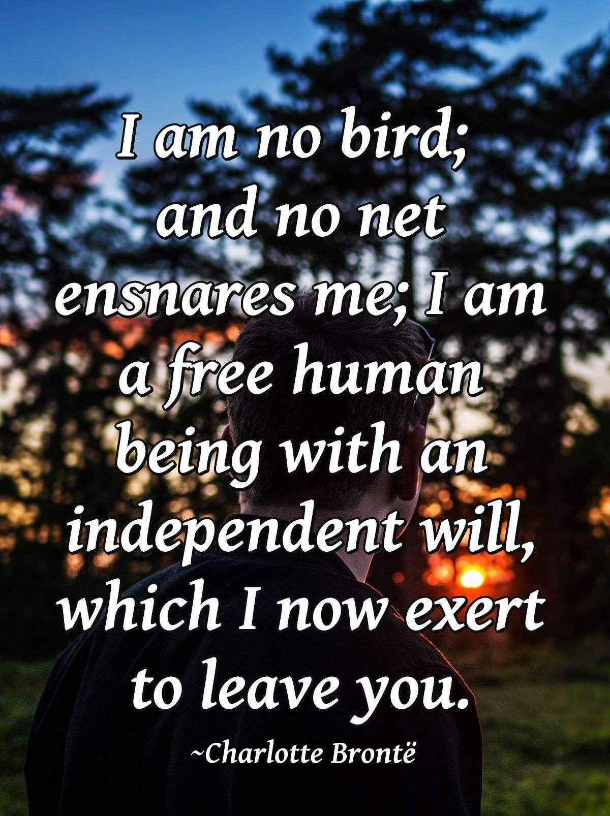 I am no bird; and no net ensnares me; I am a free human being with an independent will, which I now exert to leave you.