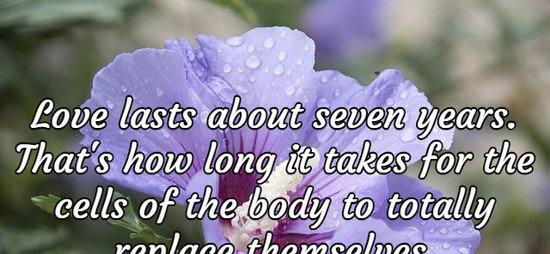 Love lasts about seven years. That's how long it takes for the cells of the body to totally replace themselves.