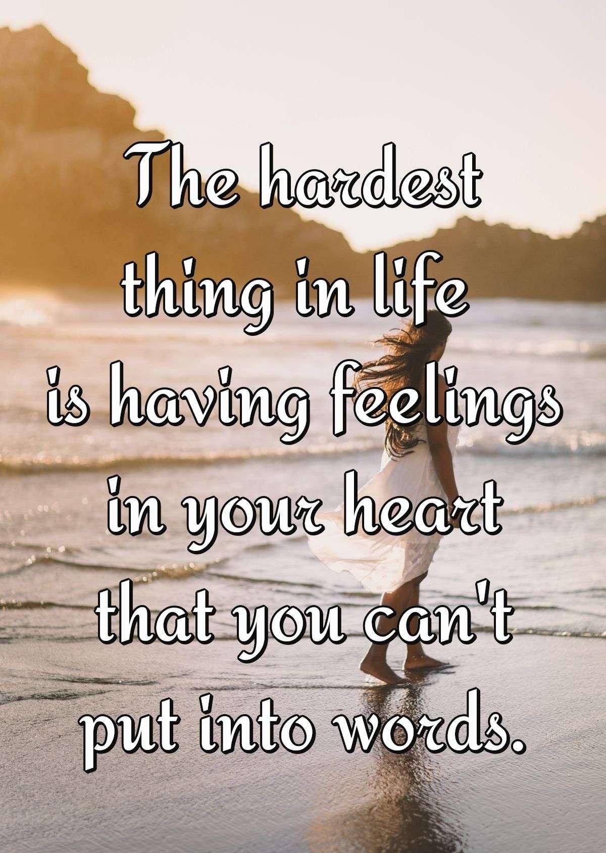 The hardest thing in life is having feelings in your heart that you can't put into words.