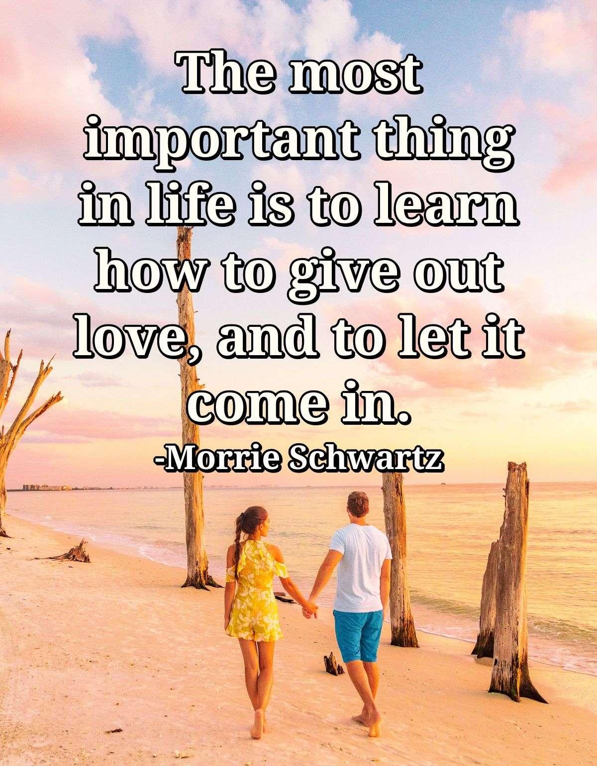 The most important thing in life is to learn how to give out love, and to let it come in.