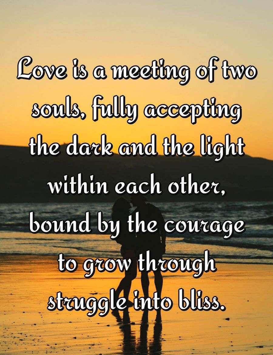 Love is a meeting of two souls, fully accepting the dark and the light within each other, bound by the courage to grow through struggle into bliss.