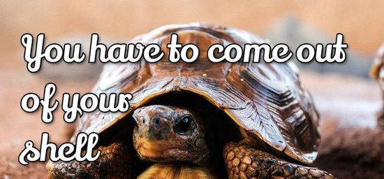 You have to come out of your shell to love someone.