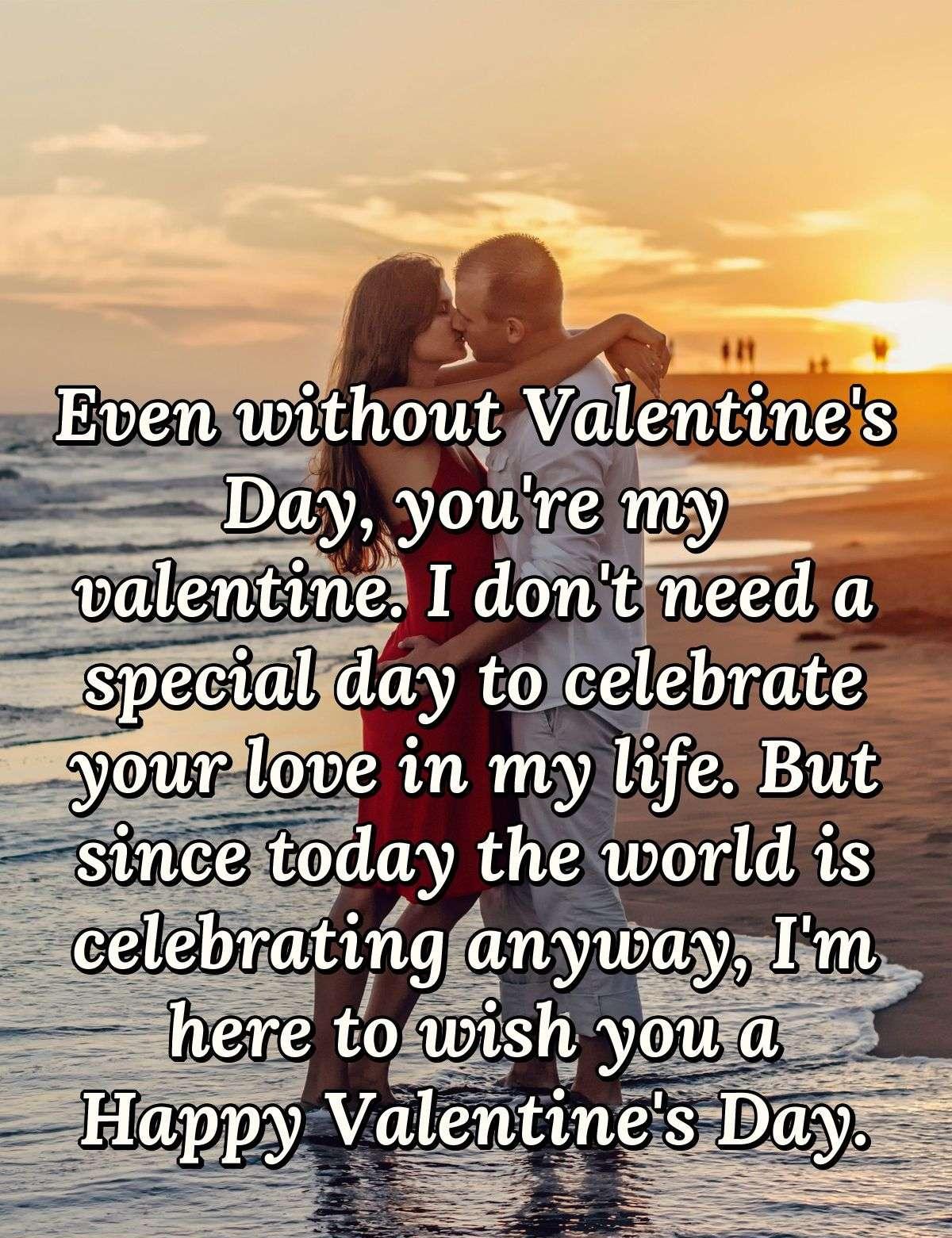 Even without Valentine's Day, you're my valentine. I don't need a special day to celebrate your love in my life. But since today the world is celebrating anyway, I'm here to wish you a Happy Valentine's Day.