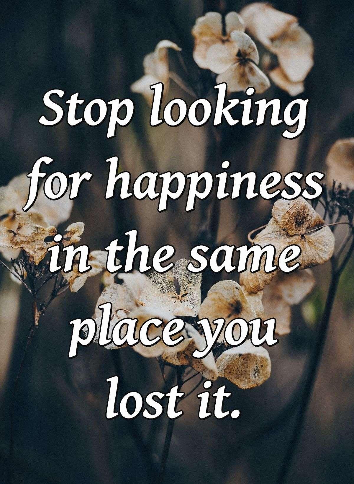 Stop looking for happiness in the same place you lost it.