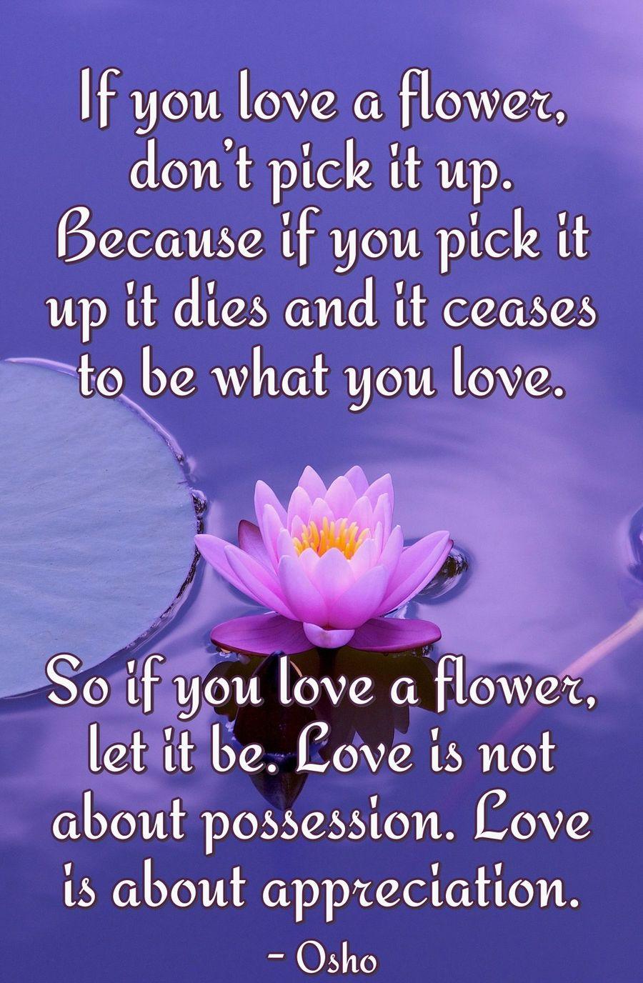 If you love a flower, don’t pick it up. Because if you pick it up it dies and it ceases to be what you love. So if you love a flower, let it be. Love is not about possession. Love is about appreciation.