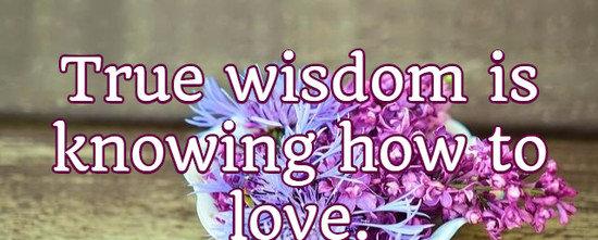 True wisdom is knowing how to love.