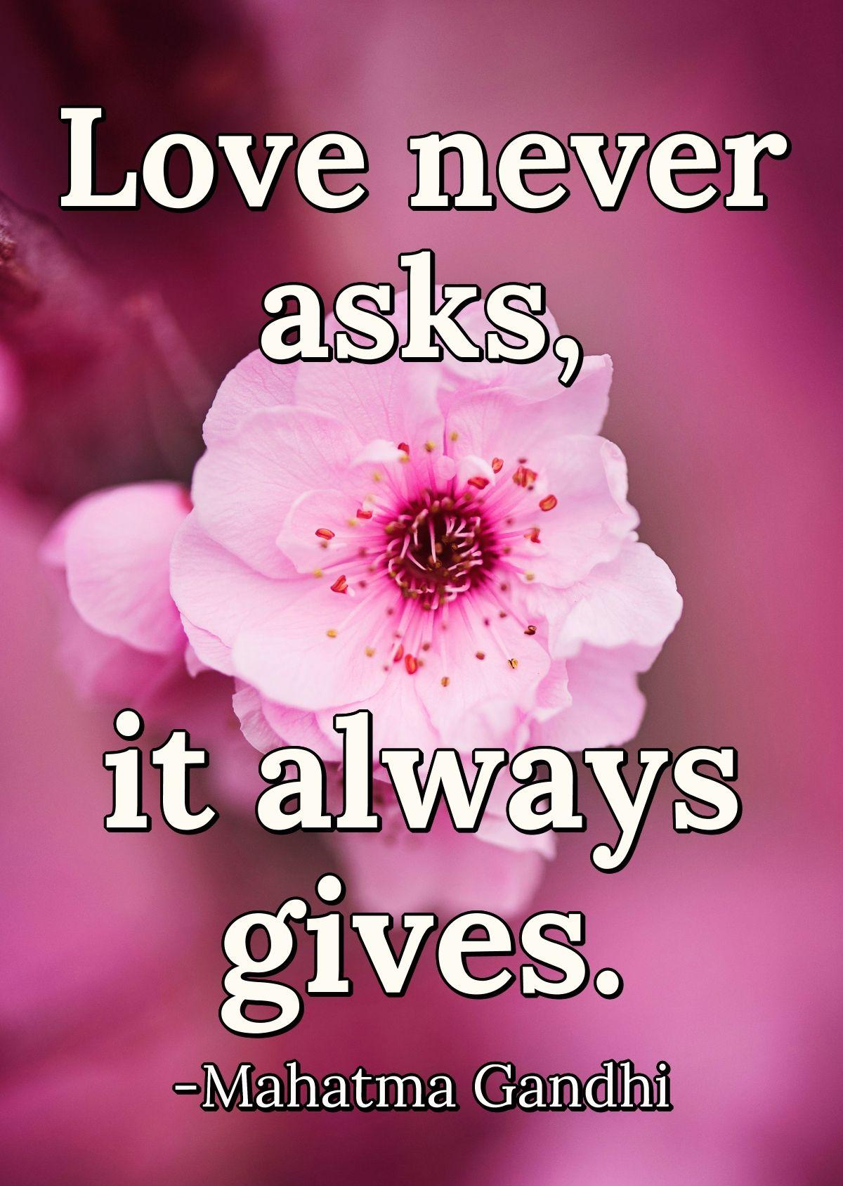 Love never asks, it always gives.