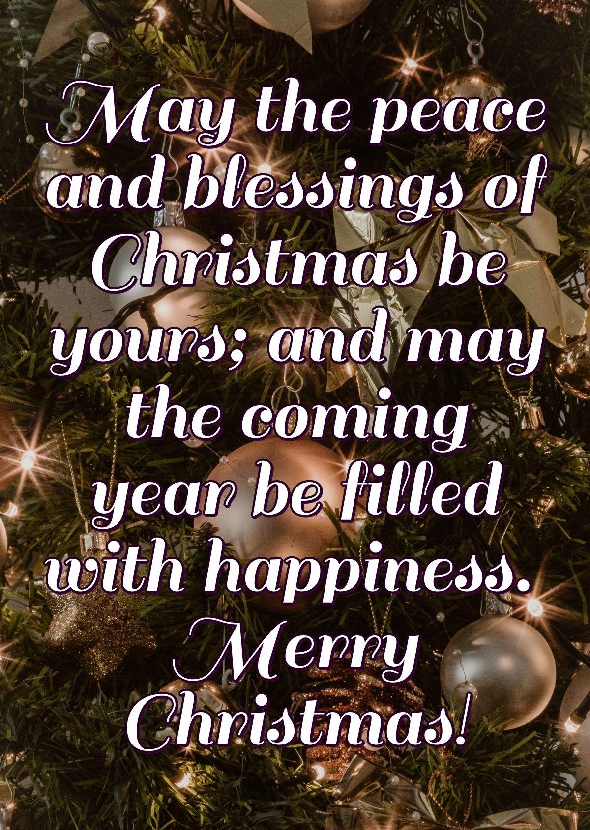 May the peace and blessings of Christmas be yours; and may the coming year be filled with happiness. Merry Christmas!