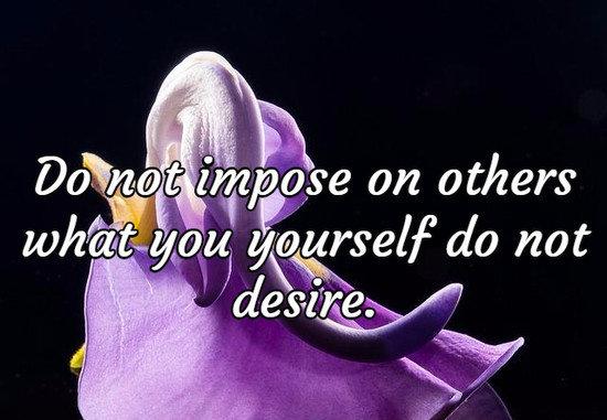 Do not impose on others what you yourself do not desire.