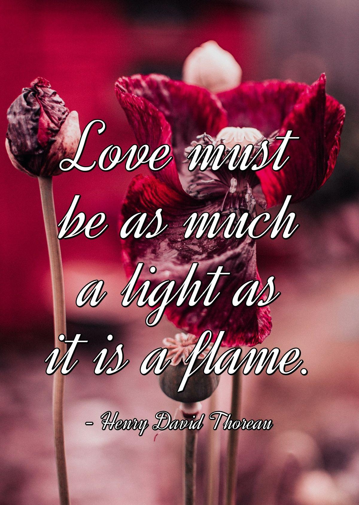 Love must be as much a light as it is a flame.