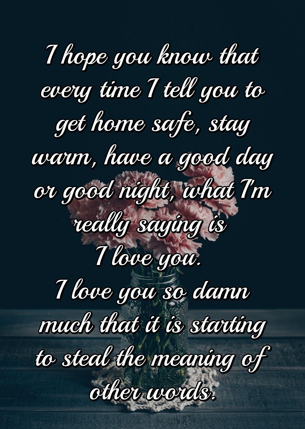 I hope you know that every time I tell you to get home safe, stay warm, have a good day or good night, what I'm really saying is I love you. I love you so damn much that it is starting to steal the meaning of other words.