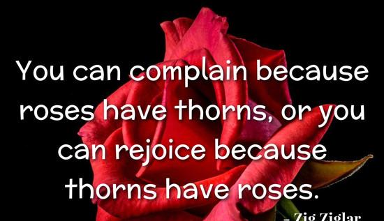 You can complain because roses have thorns, or you can rejoice because thorns have roses.