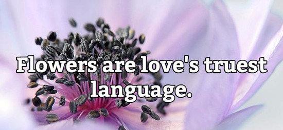 Flowers are love's truest language.