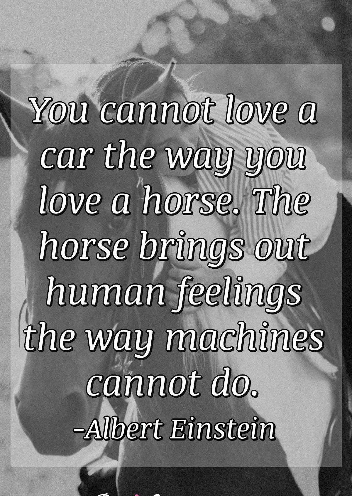 You cannot love a car the way you love a horse. The horse brings out human feelings the way machines cannot do.