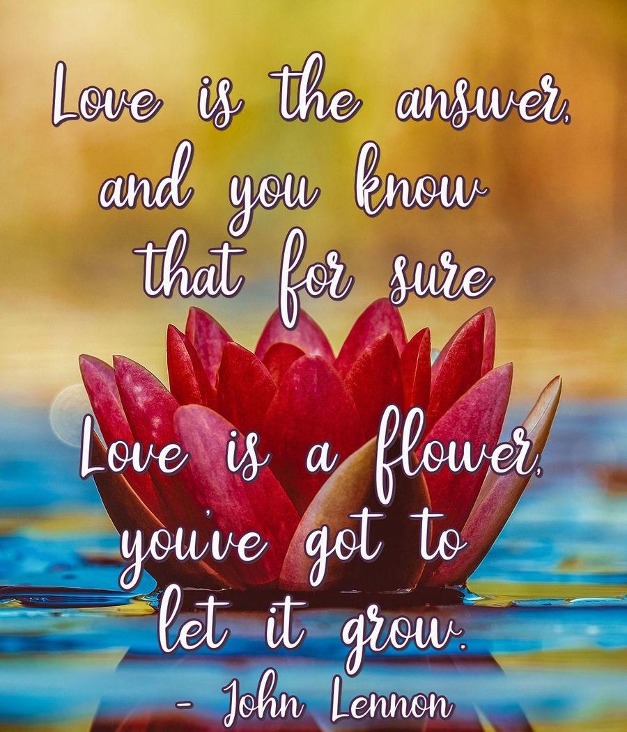 Love is the answer, and you know that for sure; Love is a flower, you've got to let it grow.