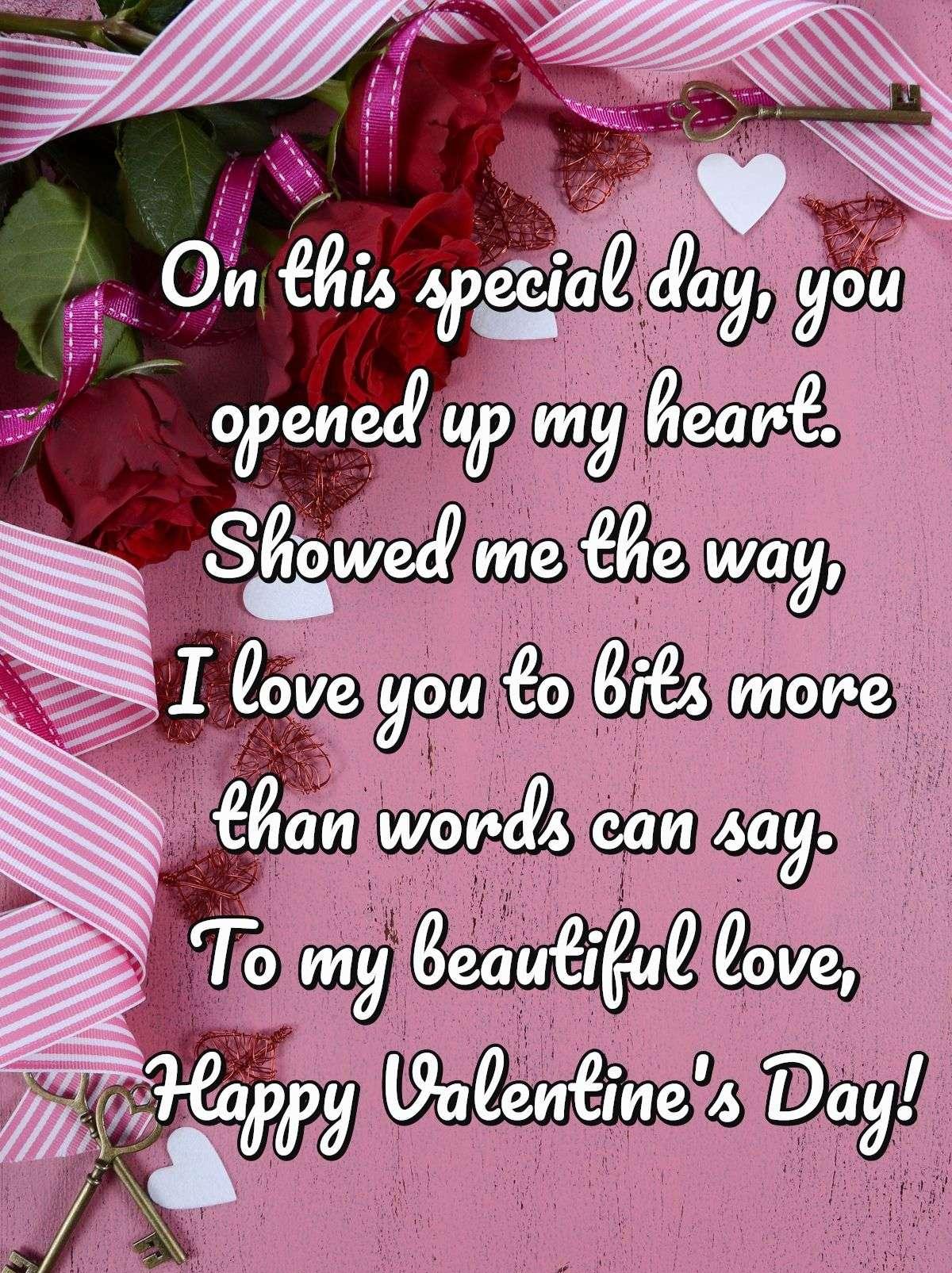 On this special day, you opened up my heart. Showed me the way, I love you to bits more than words can say. To my beautiful love, Happy Valentine's Day!