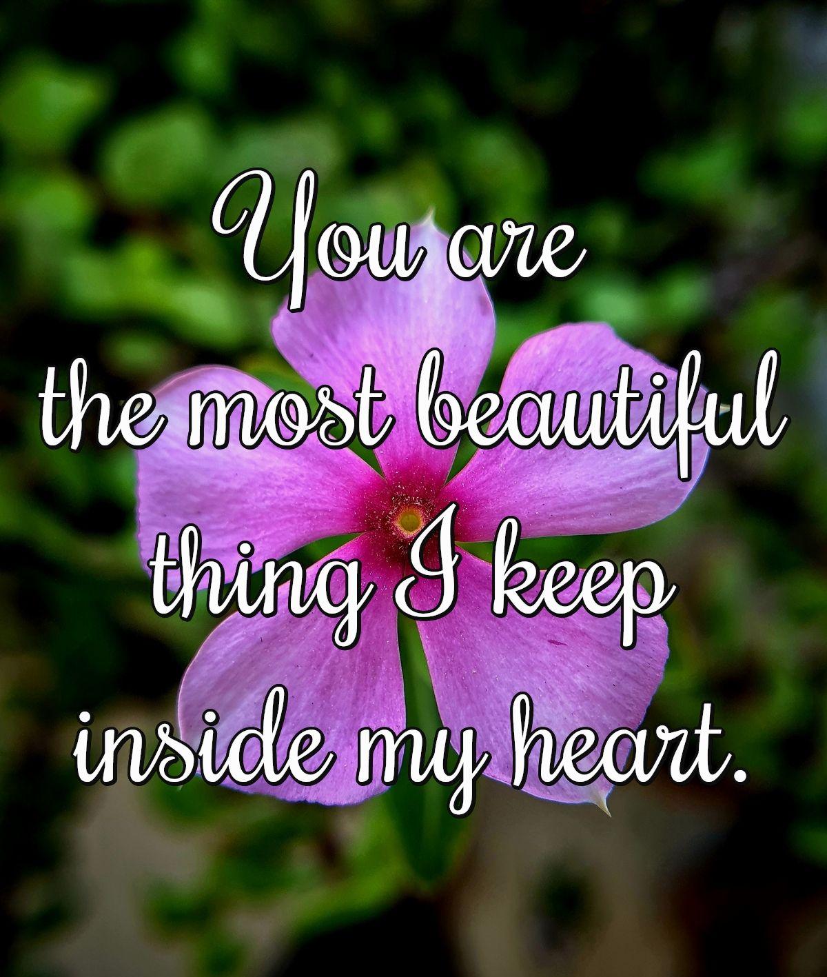 You are the most beautiful thing I keep inside my heart.