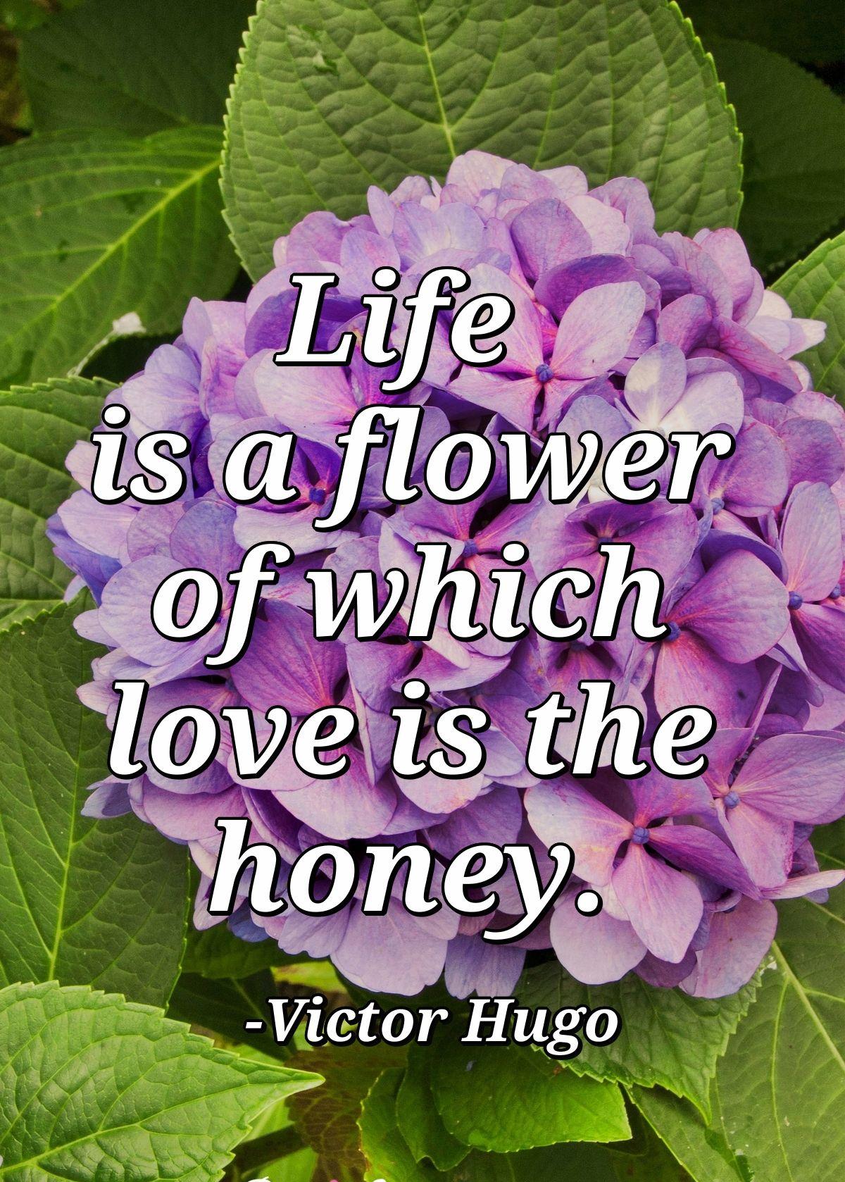 Life is a flower of which love is the honey.