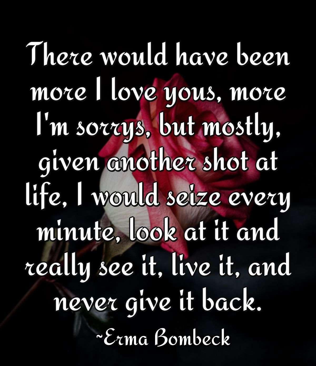 There would have been more I love yous, more I'm sorrys, but mostly, given another shot at life, I would seize every minute, look at it and really see it, live it, and never give it back.