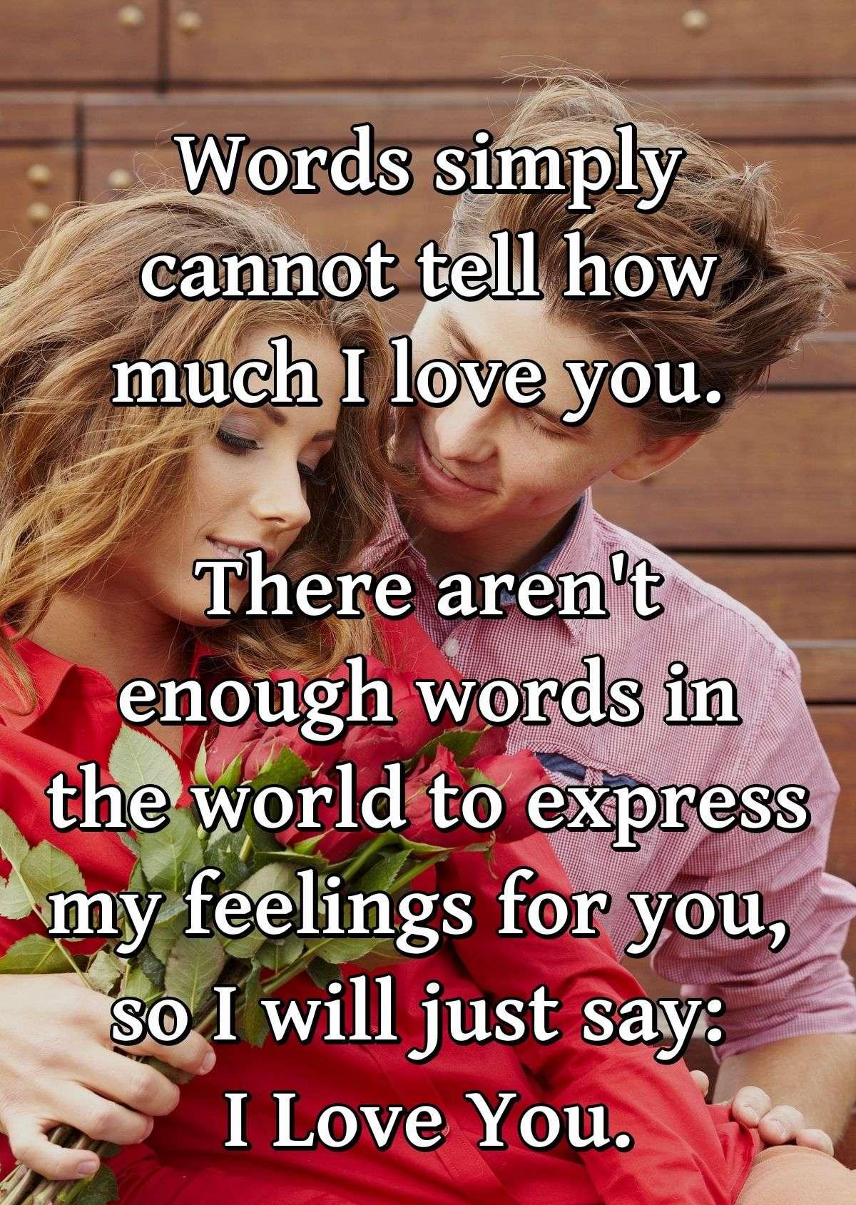 Words simply cannot tell how much I love you. There aren't enough words in the world to express my feelings for you, so I will just say: I Love You.