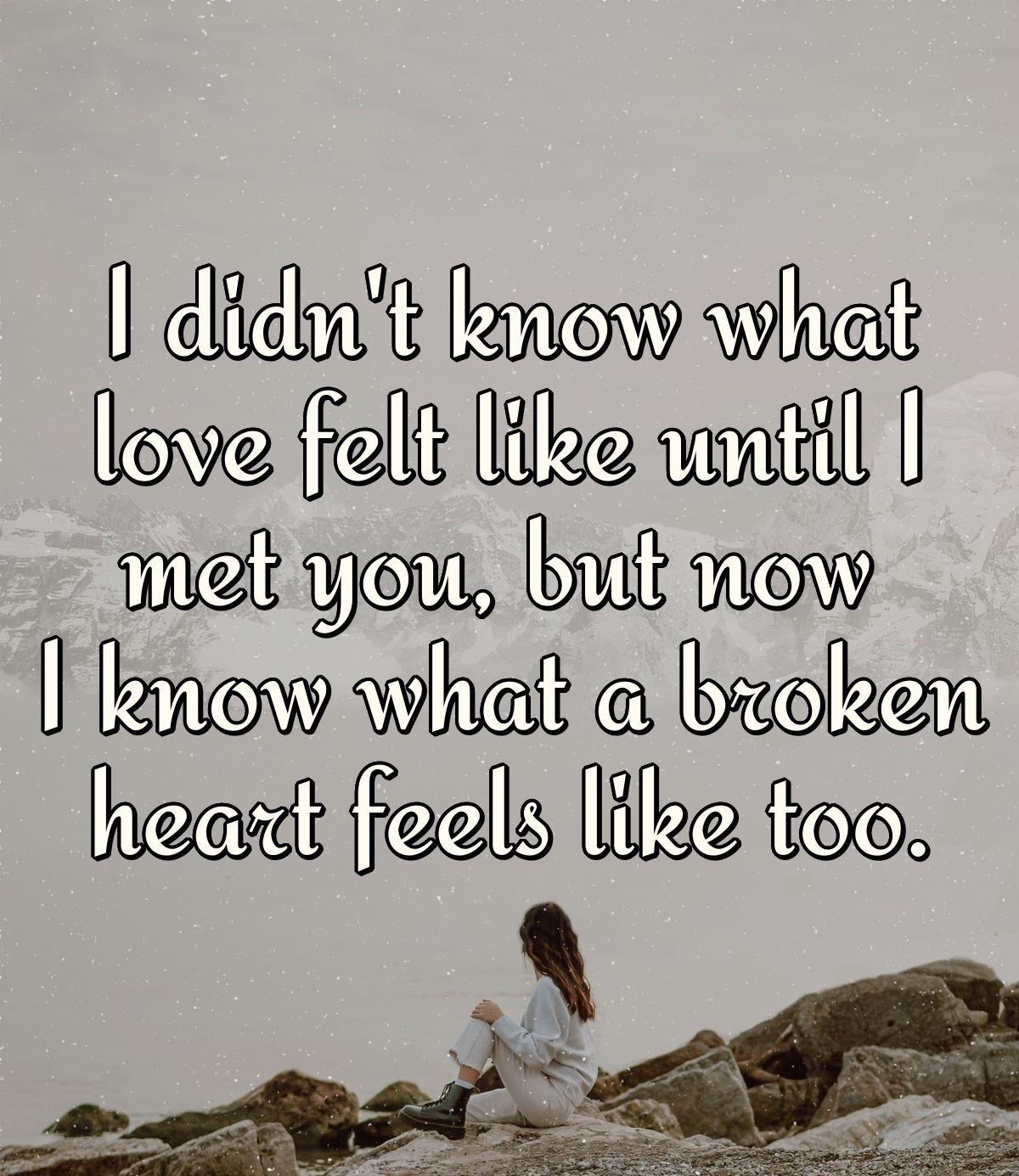 I didn't know what love felt like until I met you, but now I know what a broken heart feels like too.