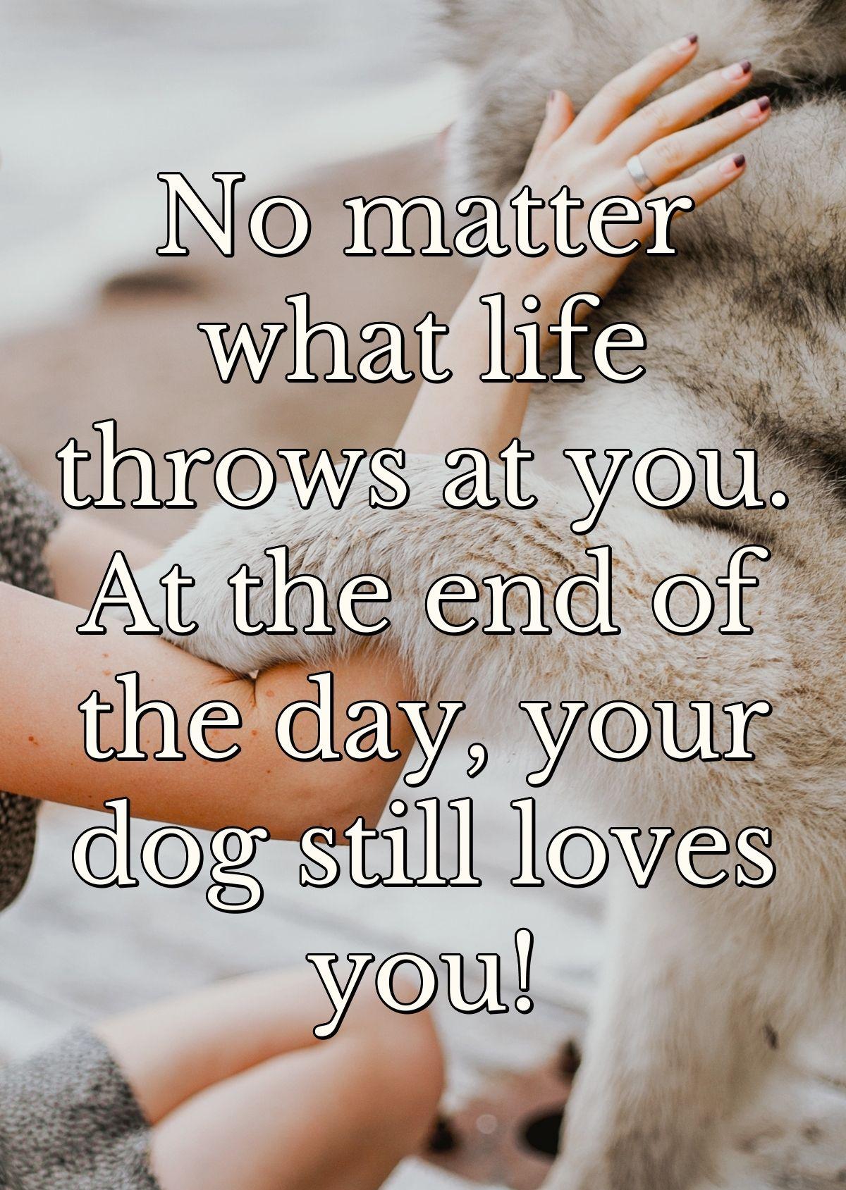 No matter what life throws at you. At the end of the day, your dog still loves you!