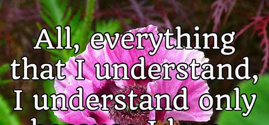 All, everything that I understand, I understand only because I love.