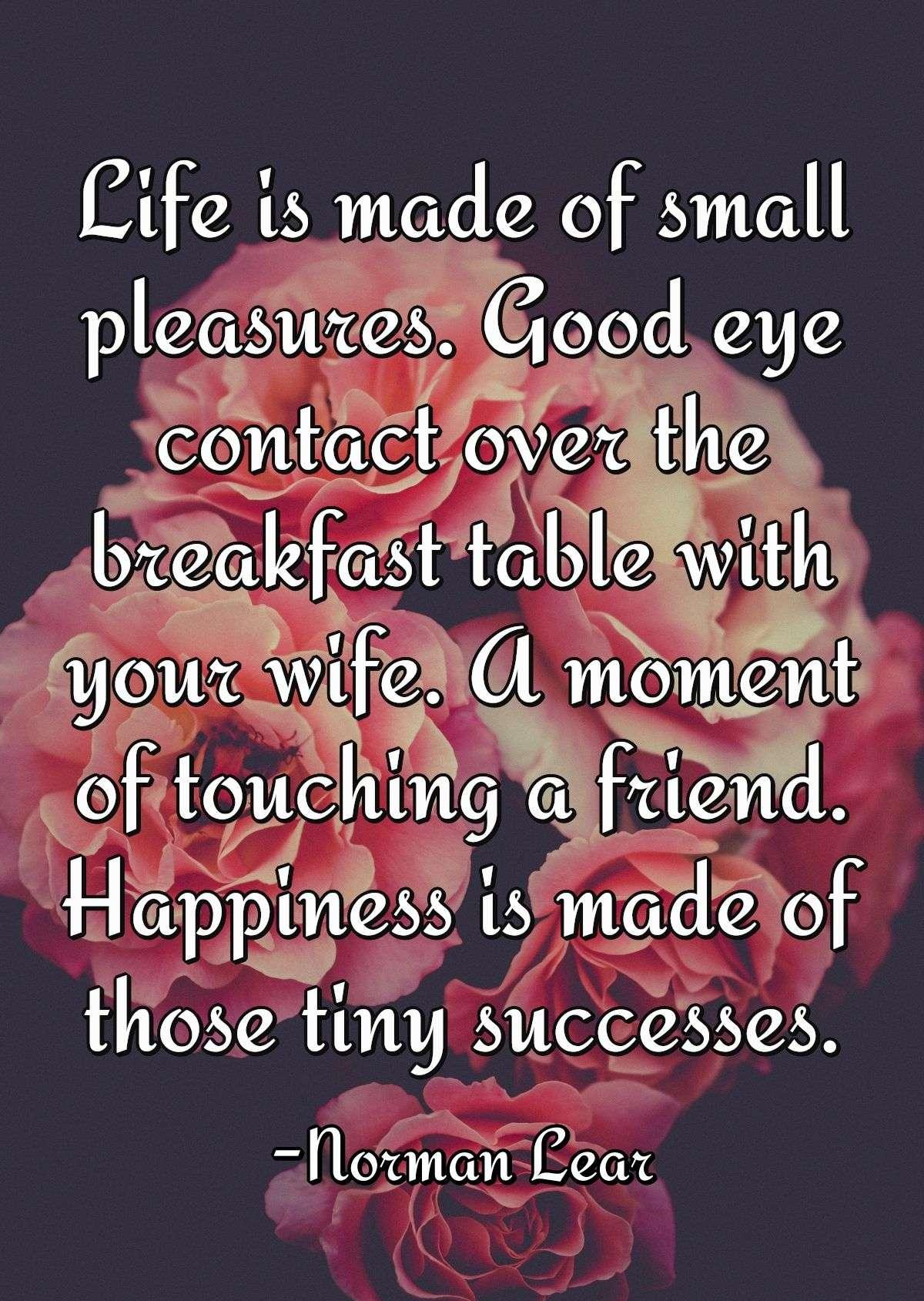 Life is made of small pleasures. Good eye contact over the breakfast table with your wife. A moment of touching a friend. Happiness is made of those tiny successes.