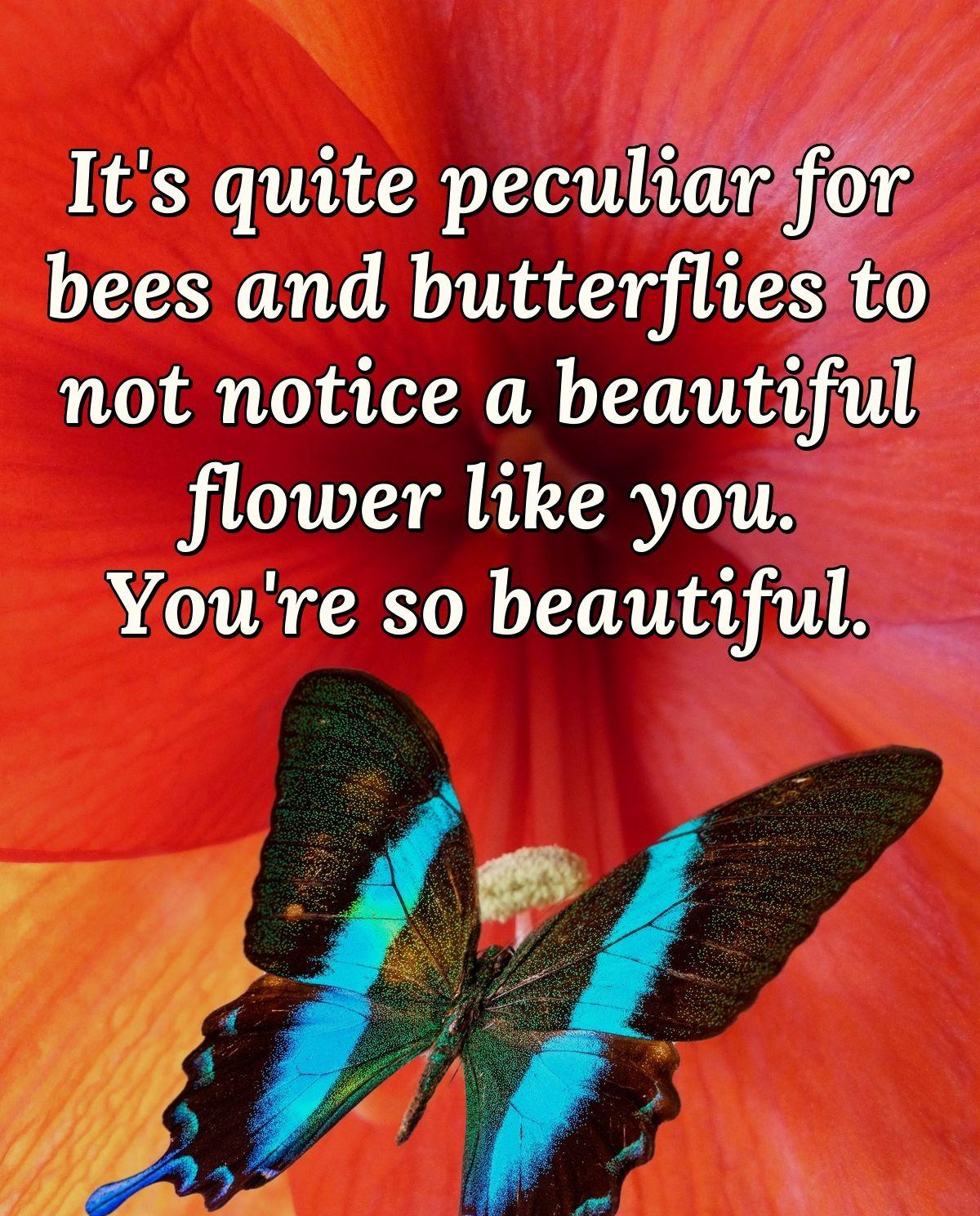 It's quite peculiar for bees and butterflies to not notice a beautiful flower like you. You're so beautiful.