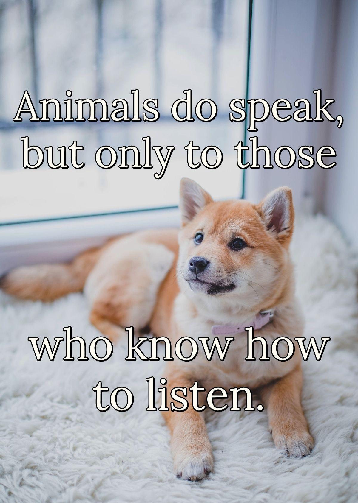 Animals do speak, but only to those who know how to listen.