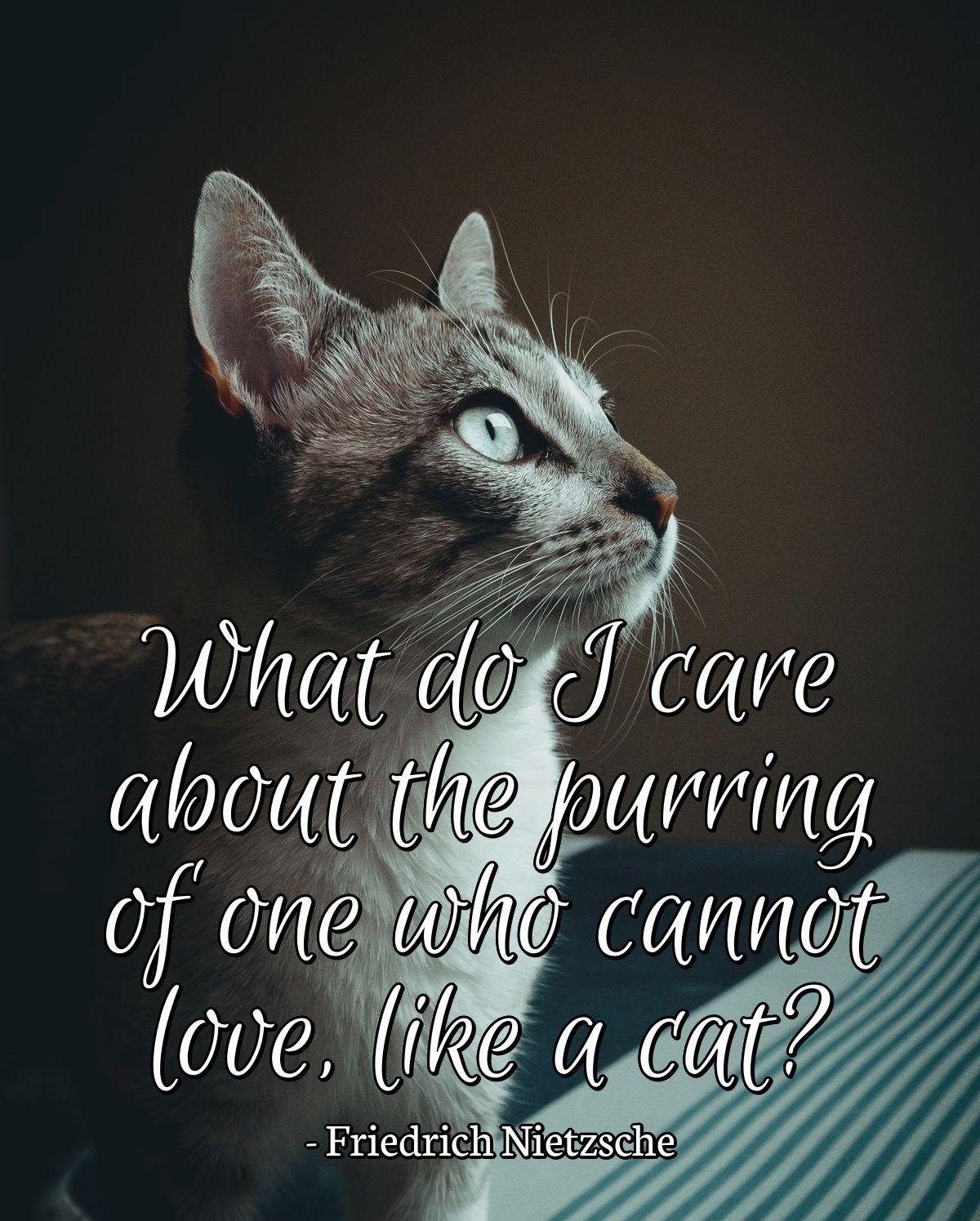 What do I care about the purring of one who cannot love, like a cat?