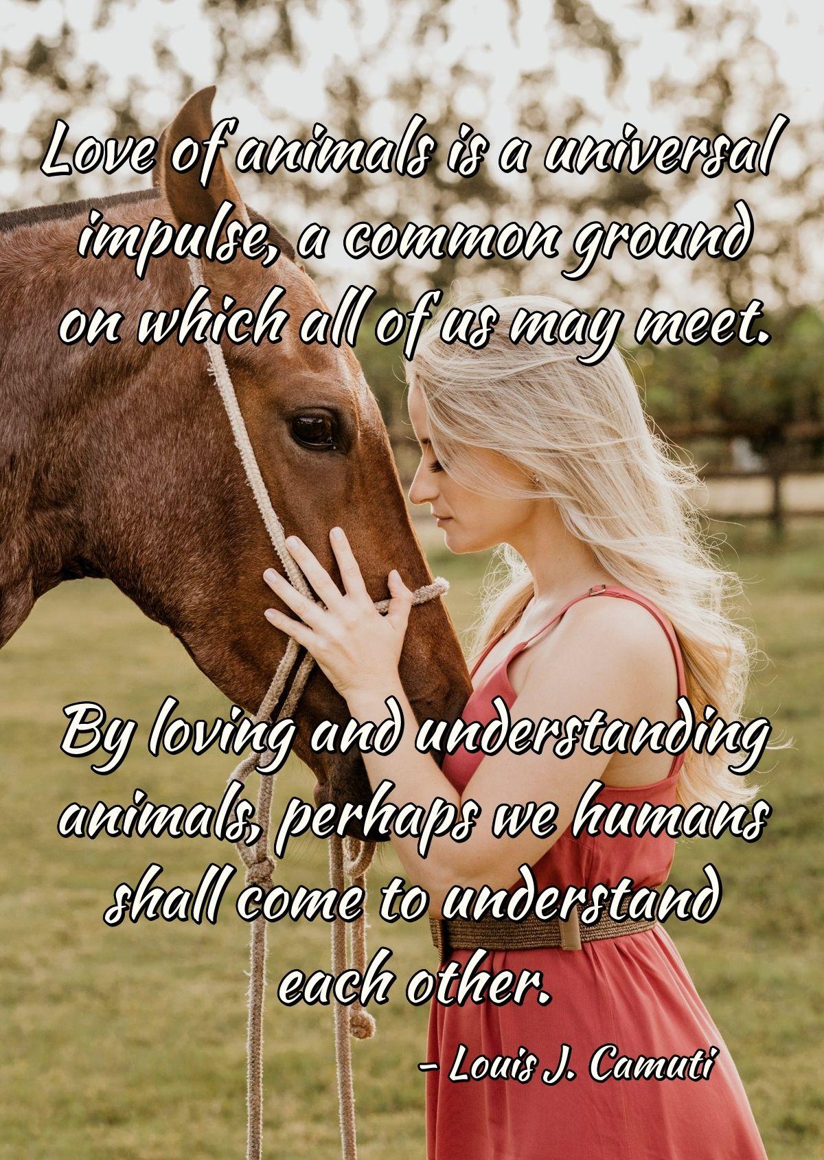 Love of animals is a universal impulse, a common ground on which all of us may meet. By loving and understanding animals, perhaps we humans shall come to understand each other.