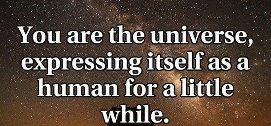 You are the universe, expressing itself as a human for a little while.