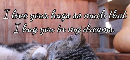 I love your hugs so much that I hug you in my dreams.