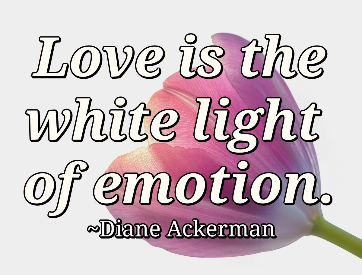 Love is the white light of emotion.