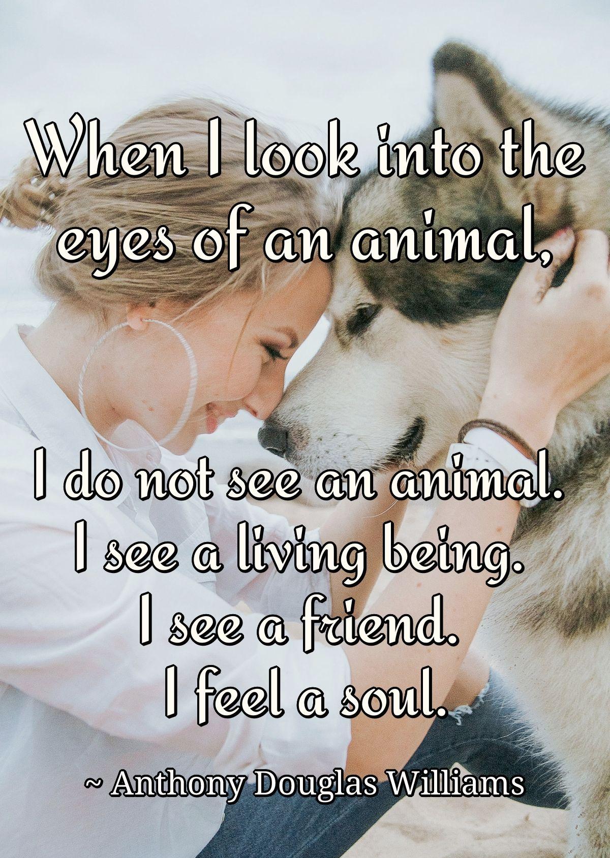 When I look into the eyes of an animal, I do not see an animal. I see a living being. I see a friend. I feel a soul.