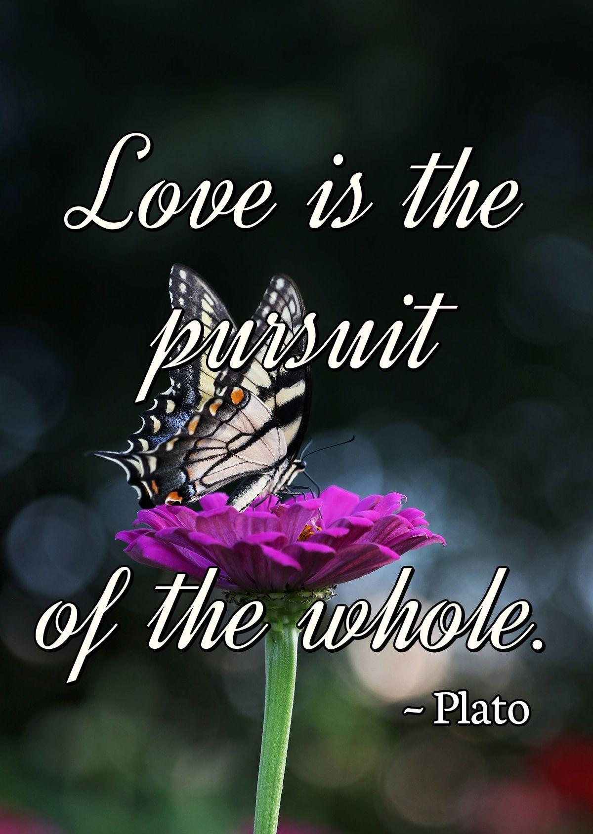 Love is the pursuit of the whole.