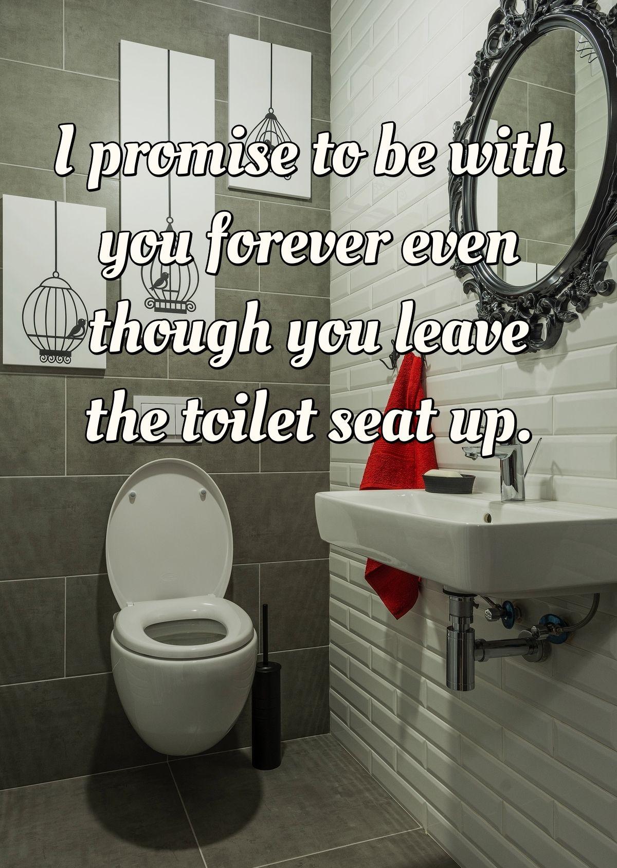 I promise to be with you forever even though you leave the toilet seat up.