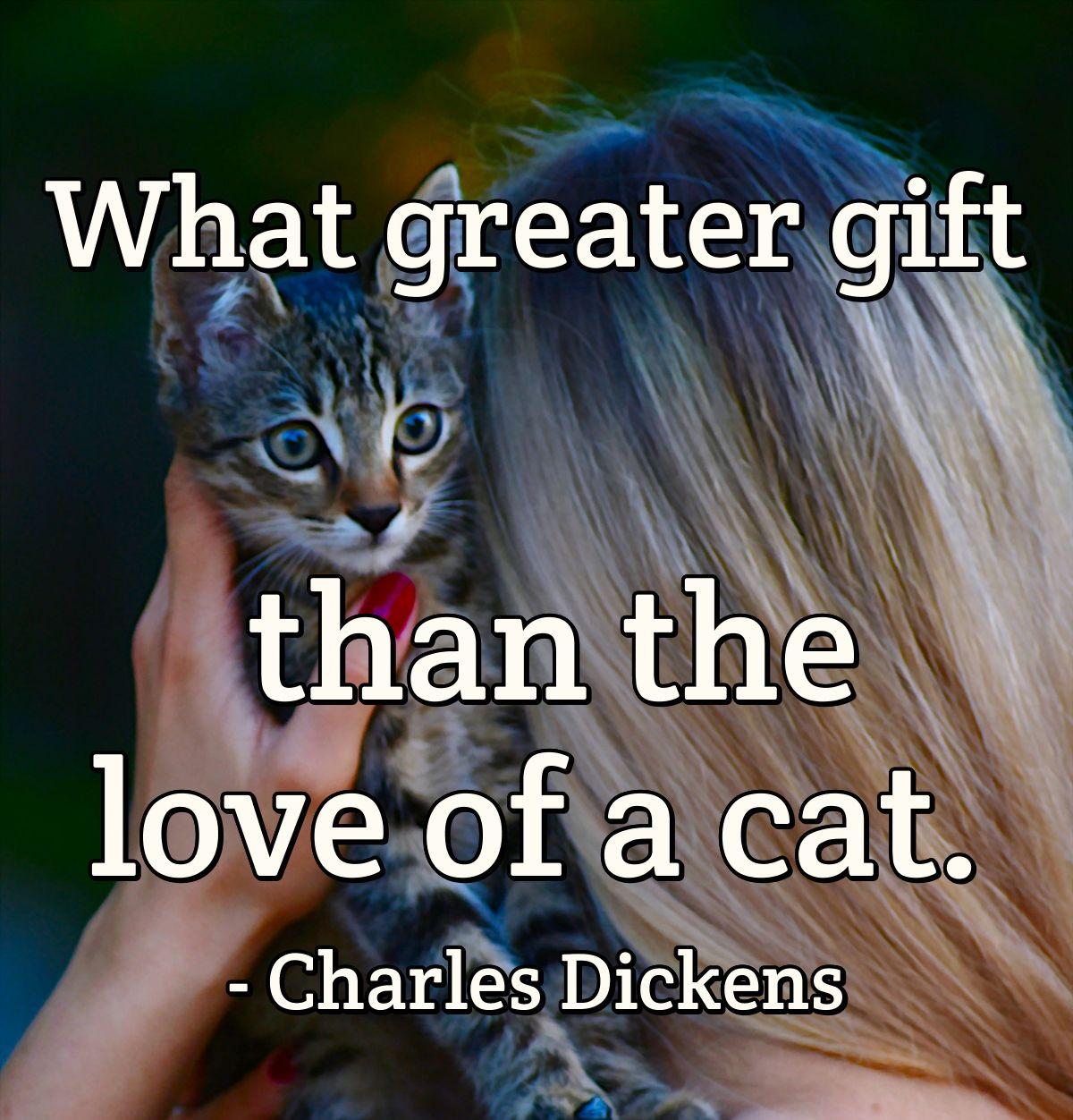 What greater gift than the love of a cat.