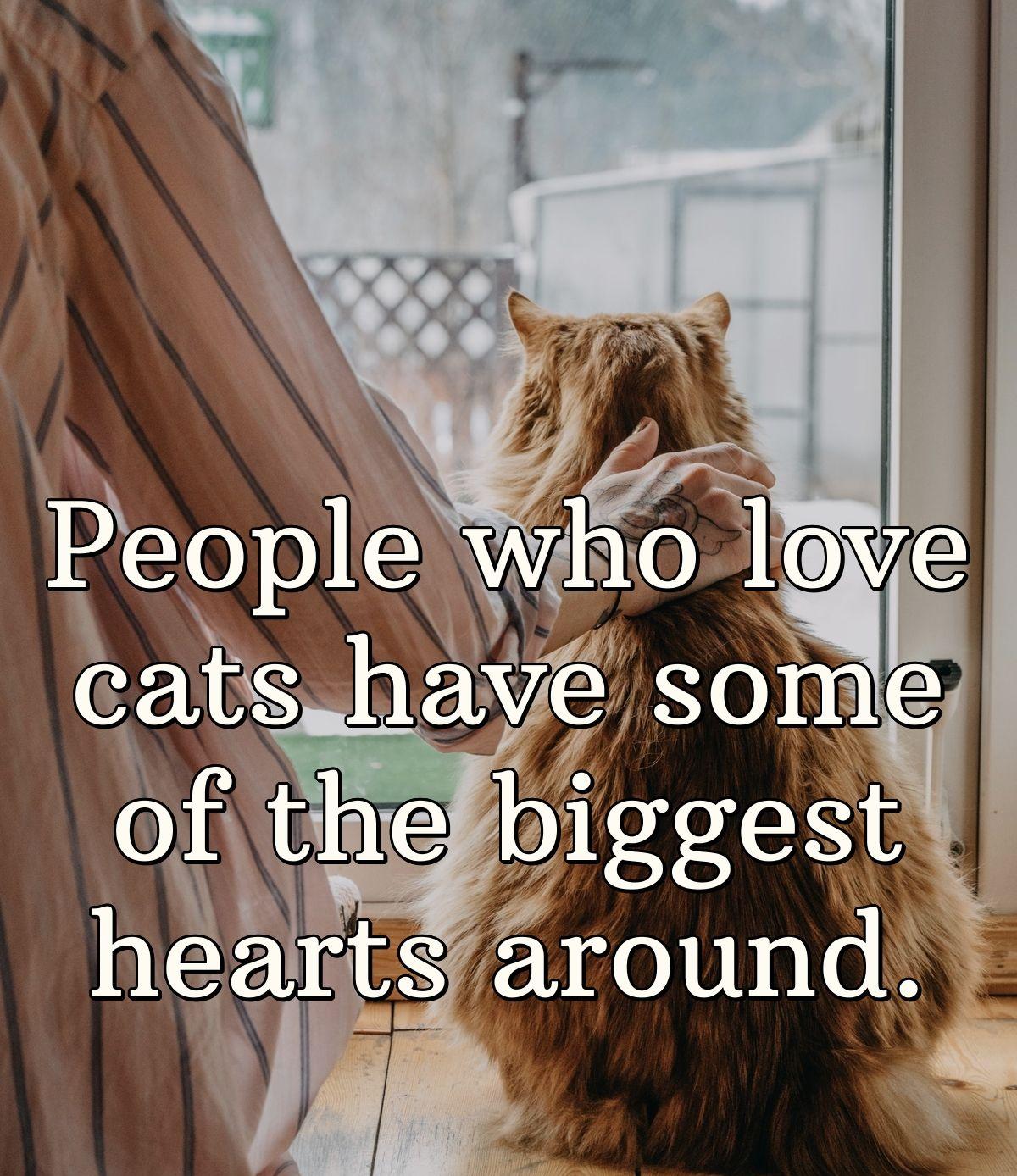 People who love cats have some of the biggest hearts around.