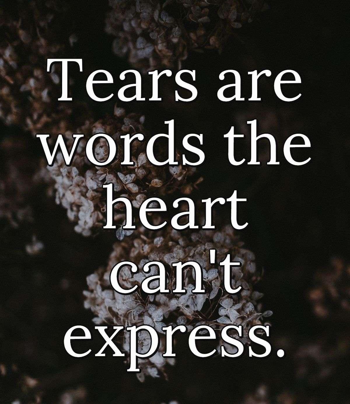 Tears are words the heart can't express.