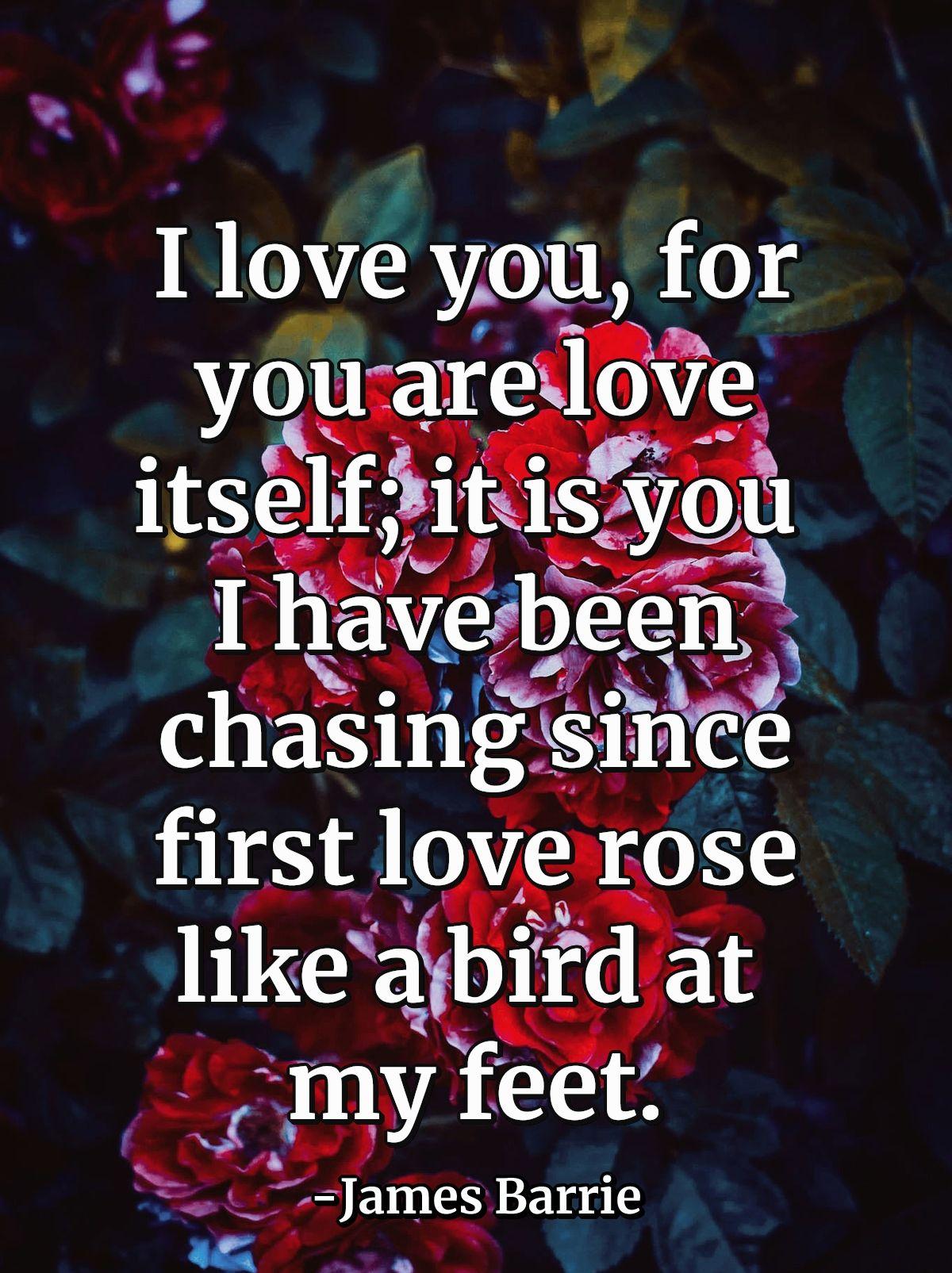 I love you, for you are love itself; it is you I have been chasing since first love rose like a bird at my feet.