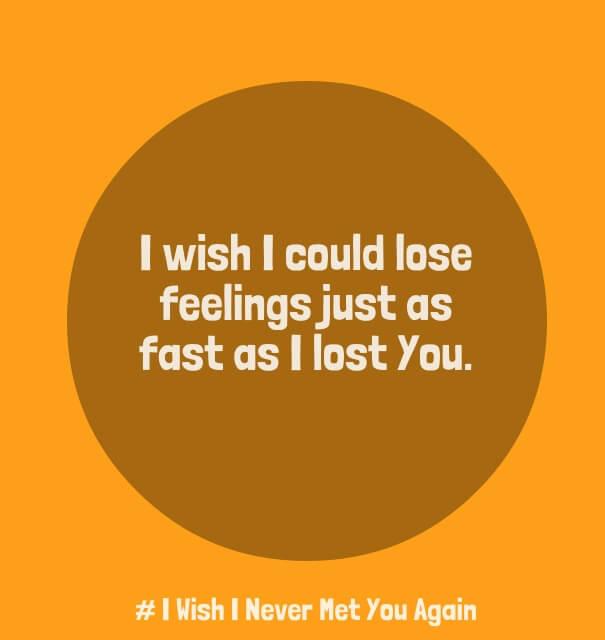 I Wish We Never Met Quotes